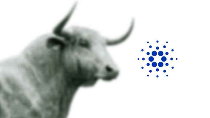 Cardano surge