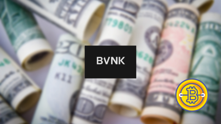 BVNK