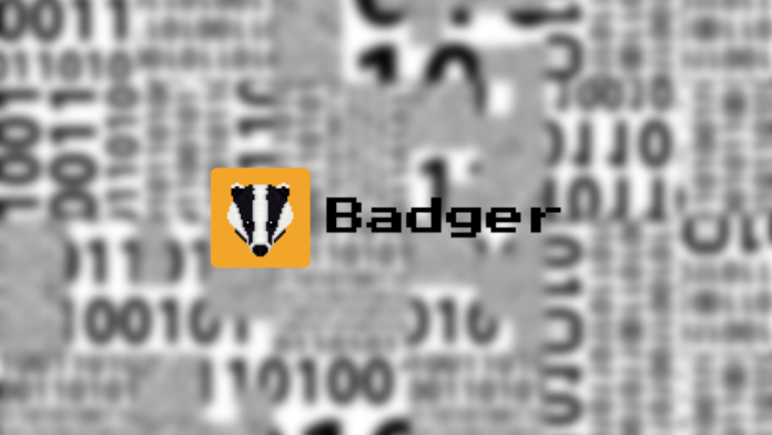 BadgerDAO exploit
