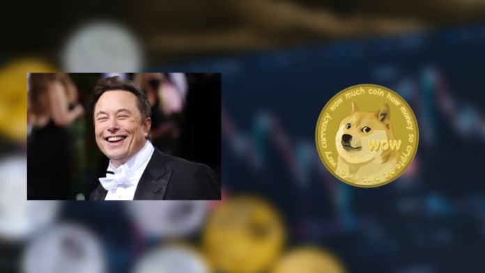 Elon Musk DOGE